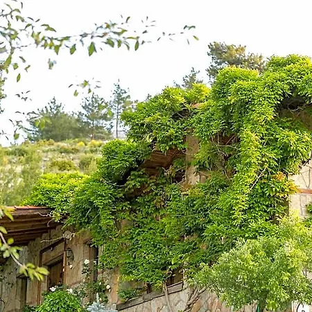 Olympos Mountain Hotel Antalya