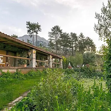 Olympos Mountain Antalya