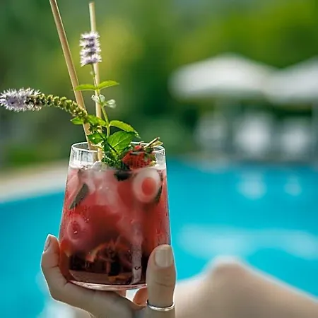 Olympos Mountain Hotel *